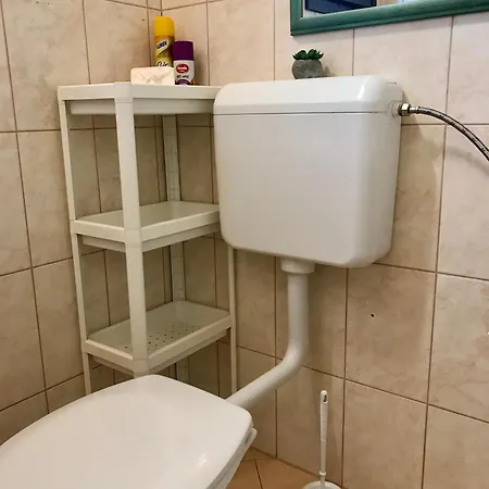Tuenderrozsa Horgaszkucko Gyomaendrőd